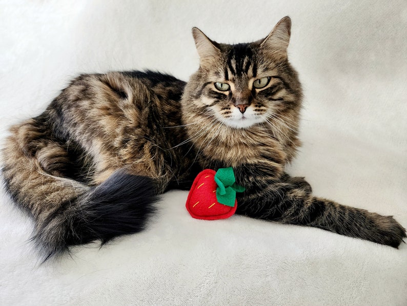 Cat Toys Strawberry Organic Catnip and bells image 6