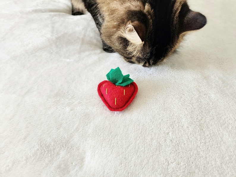 Cat Toys Strawberry Organic Catnip and bells image 8