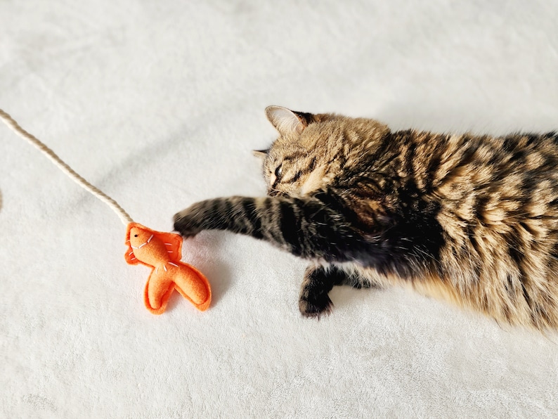 Cat Wand Bundle , Fish Cat Teaser 2pk, Cat Toys Interactive image 3