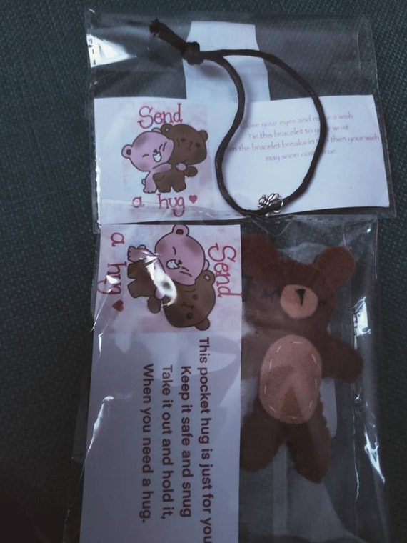 pocket hug teddy bear