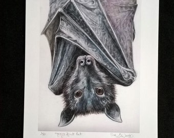 Bat - Hanging bat - Hanging Fruit bat - Original Limited edition print - Gothic - Bat lovers gift - Bat art- Halloween