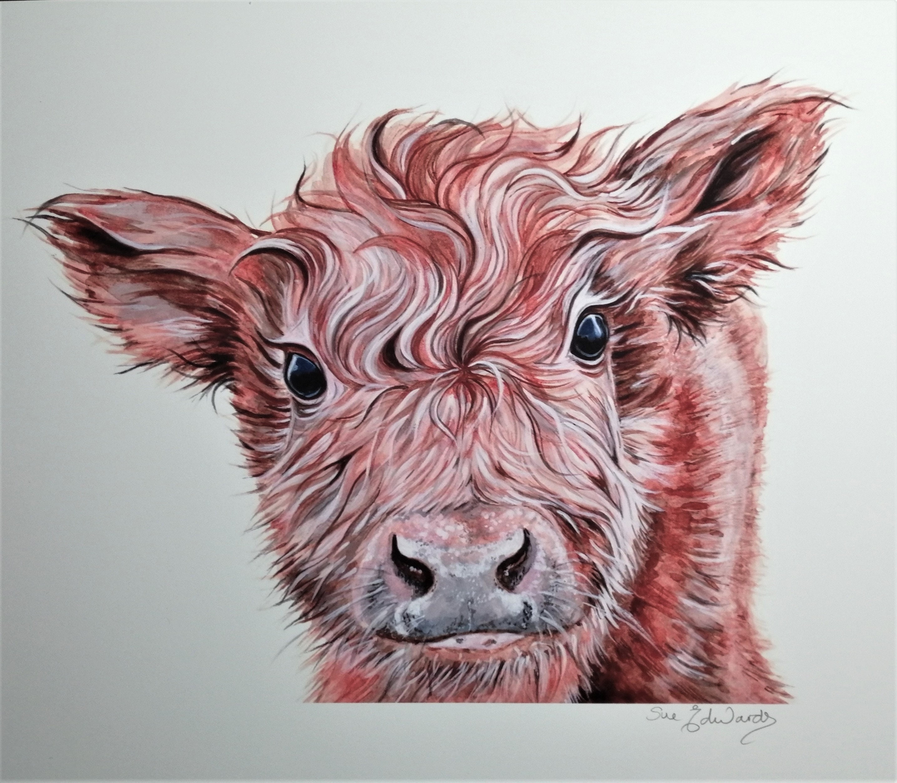 水彩壁絵 Watercolor *The Tender Calf Calf* Calf Watercolor Baby Cow – Susan Windsor