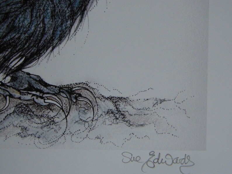 Rook - Bird Art - Original Print - British Birds - Gothic - Bird ...