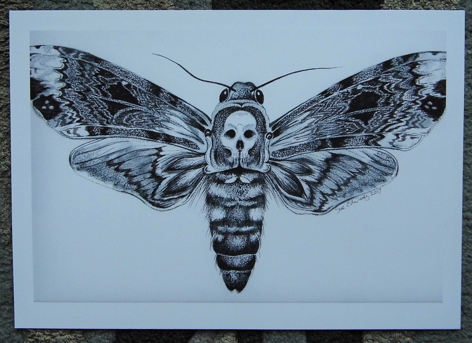 Death Head Moth Hawkmoth Art Print Original print Insect illustration ...