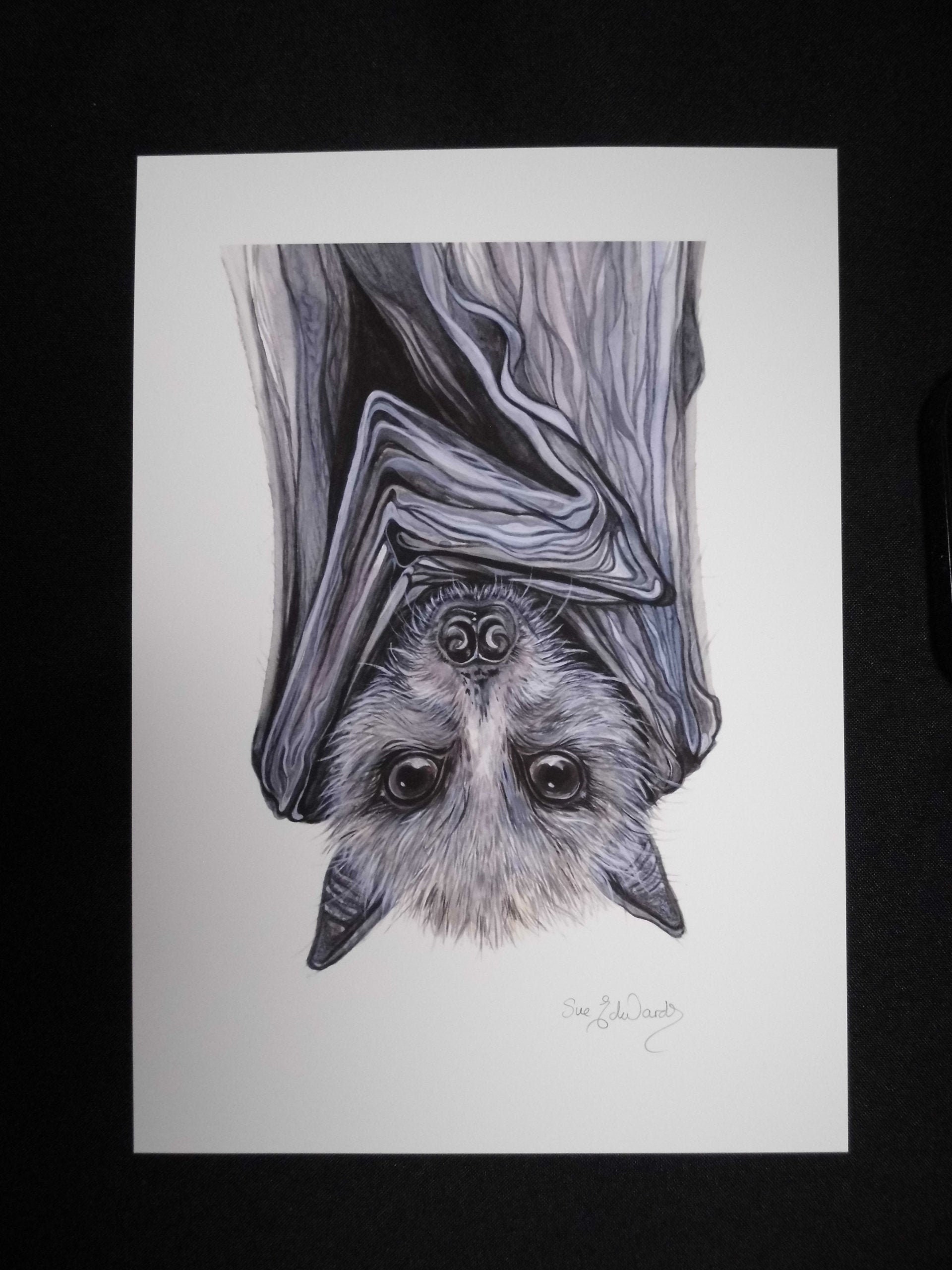 Bat Cat pencil drawing Free download by Lineke-Lijn on DeviantArt