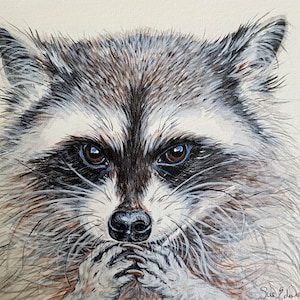 Original Raccoon Scratchboard Art