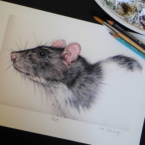 Rat art - Rat print - Original print  - Limited edition - Pet art - Fancy rat - Pet art - Rodent art