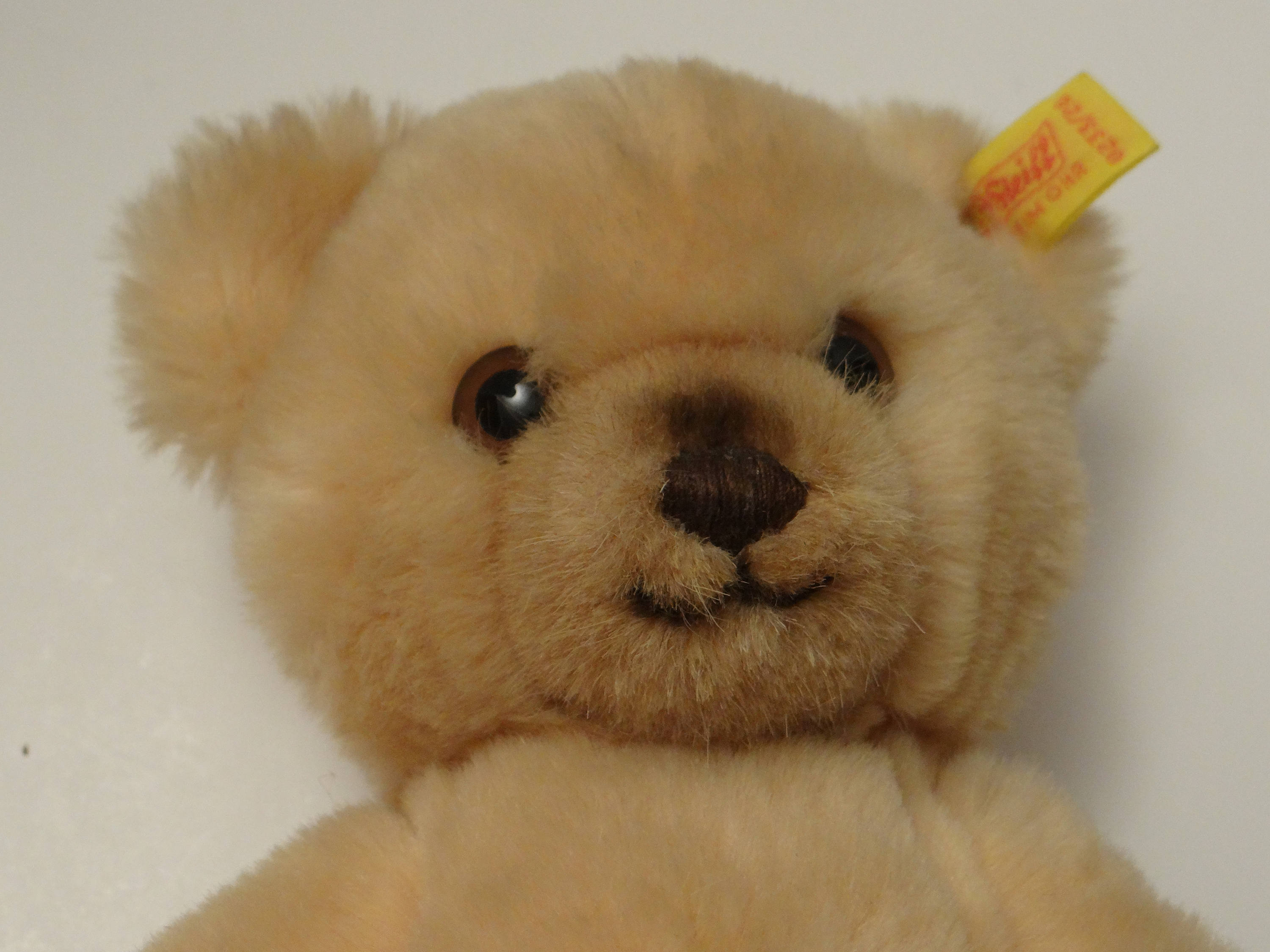 german teddy bear brands
