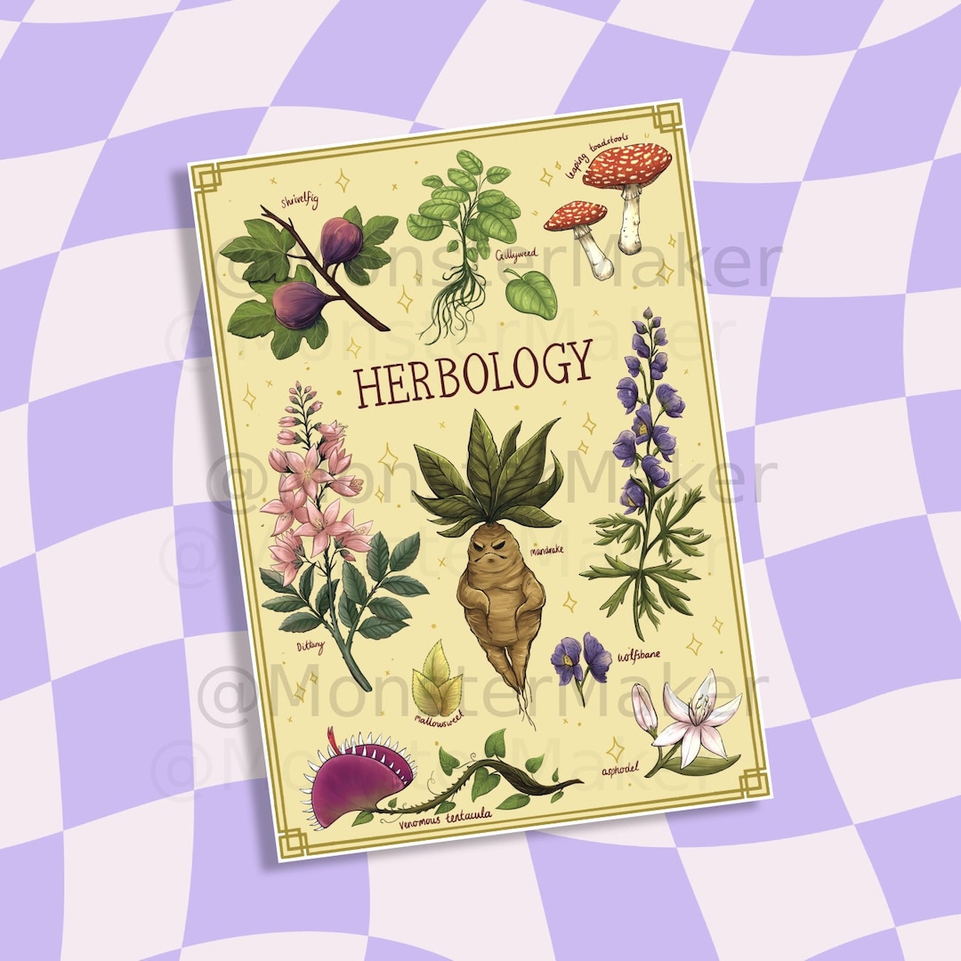 Herbology Botanical A4 A3 Illustrated Print Monstermaker - Etsy