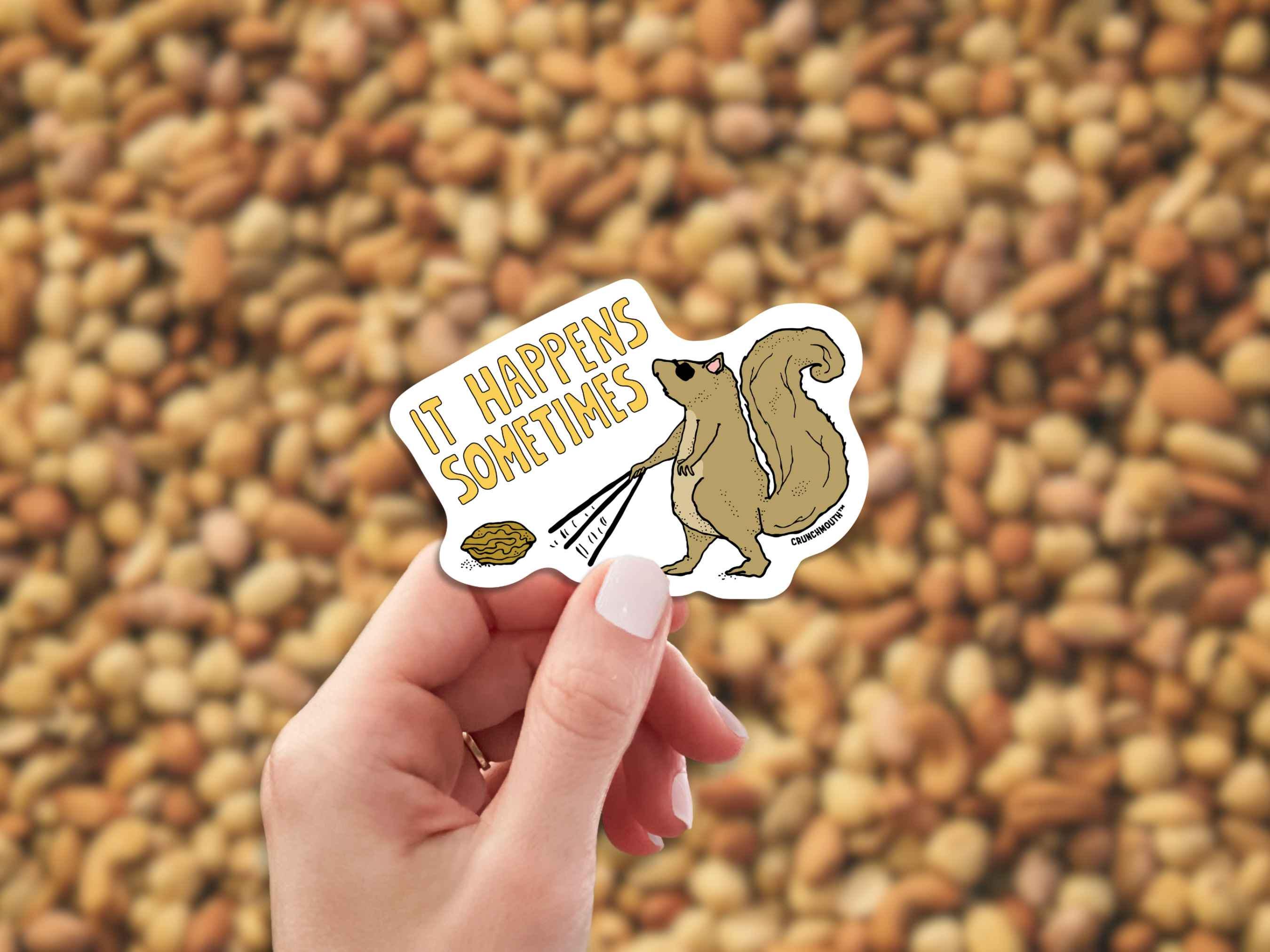 A Little Nutty Squirrel Decal – 4.5 Inch Vinyl Window Sticker – Funny Squirrels