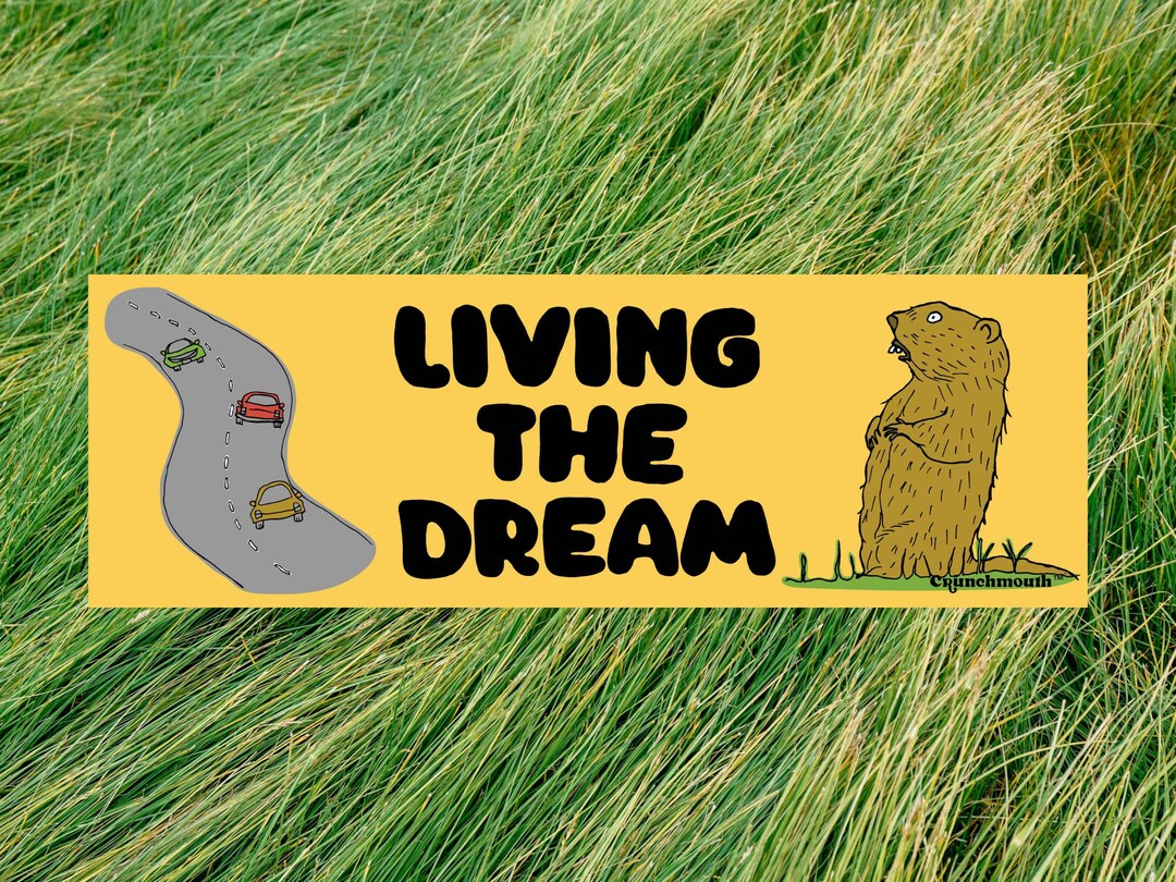 Living the Dream Bumper Sticker, Groundhog Sticker, Funny Bumper