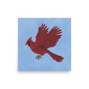 Cardinal Bird Painting Print