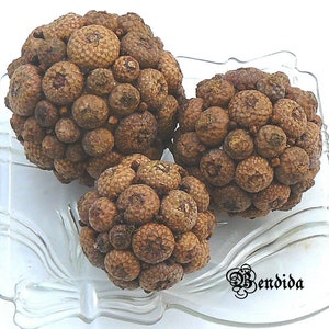 3 Decorative Balls for Bowls, Vase Fillers Orbs, Spheres of Natural Acorn Caps, Farmhouse Style Table Centerpiece, Nature Inspired Decor.
