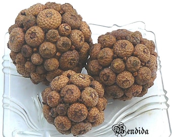 3 bolas decorativas para cuencos, orbes para rellenar jarrones, esferas de tapas de bellota naturales, centro de mesa estilo granja, decoración inspirada en la naturaleza.