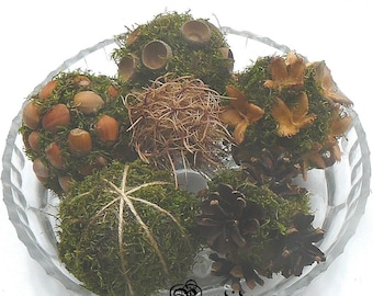 Moss Decorative Balls for Bowls, Vase Fillers Orbs, Dried Pods Spheres, Natural Table Centerpiece, Farmhouse Tiered Tray, Forest Home Decor.