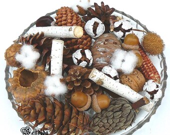 Natural Dried Potpourri Materials, Forest Finding, Eco Friendly Crafts, Bowl or Vase Fillers, Collections for Display, Primitive Home Decor.