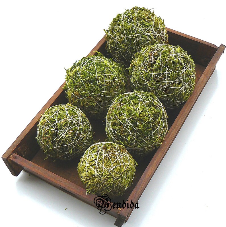 Green Moss Decorative Balls for Bowl Vase Fillers Orbs Etsy