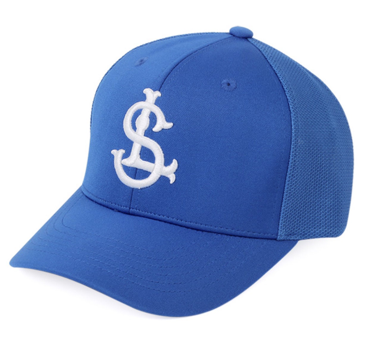 Samsung Lions 삼성 라이온즈 Pro Baseball Cap KBO League