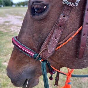 May include: Close-up of a horse's head with a colorful braided halter. The halter features a green, burgundy, and white pattern. The leather bridle has a silver buckle. An orange rope and tassel are also visible.