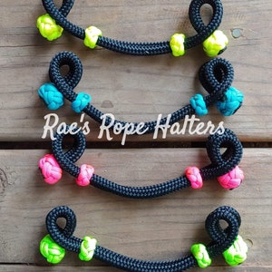 May include: Four black rope halters with different colored knots. The top halter has yellow knots, the second halter has blue knots, the third halter has pink knots, and the bottom halter has green knots. Rae's Rope Halters.