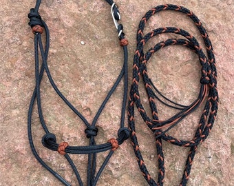 May include: A black and brown rope halter with a silver buckle. The halter is made of braided rope and has a lead rope attached. The halter is laid out on a brown rock surface. The text "Raes Rope Halters" is visible at the bottom of the image.