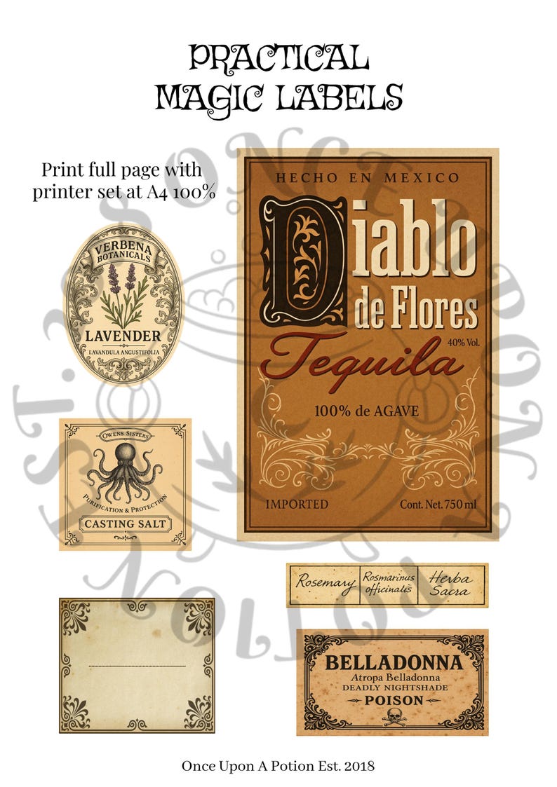 Practical Magic Apothecary Labels: Witchy Kitchen Decor (digital ...