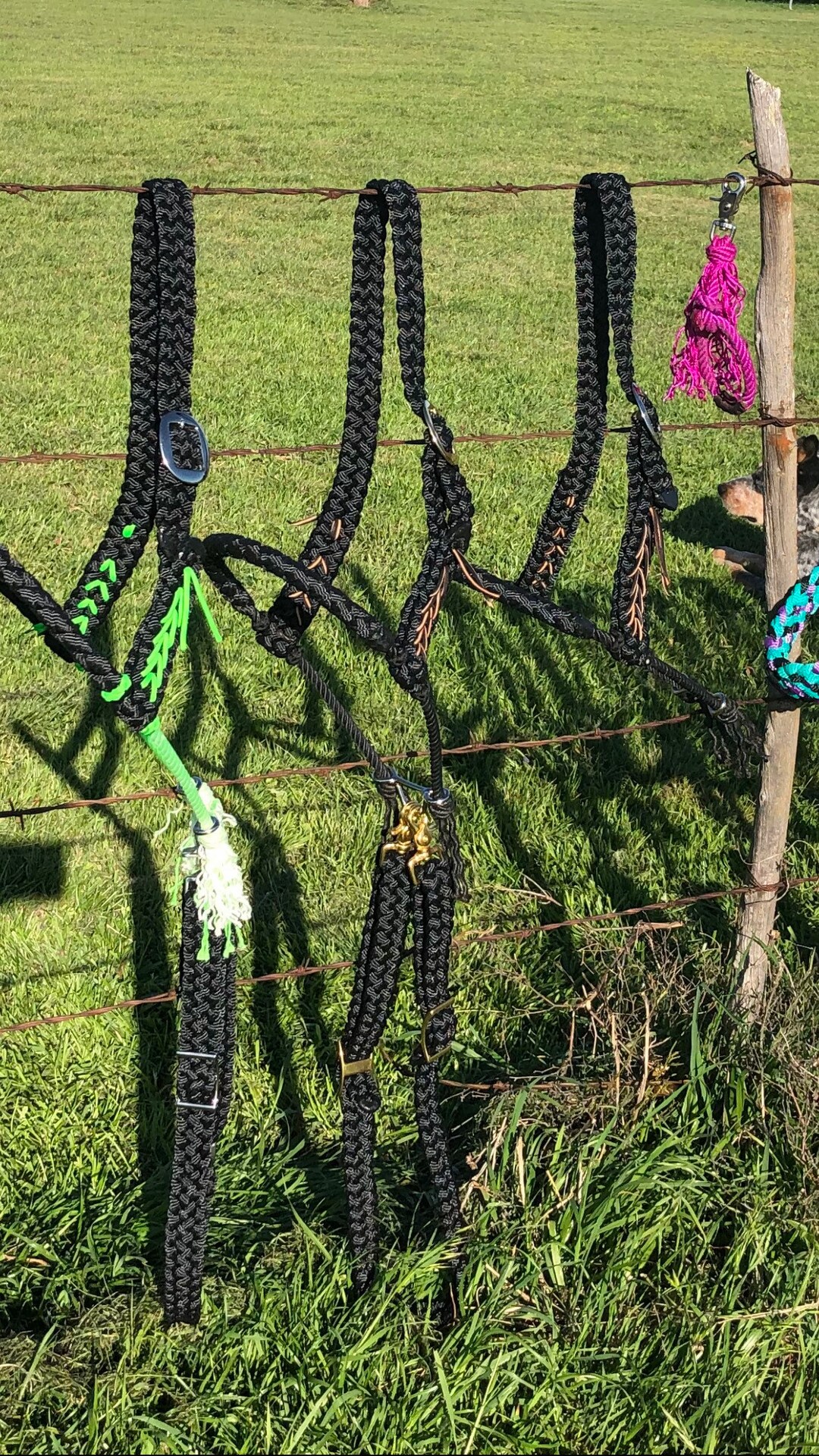 meaning of tie down