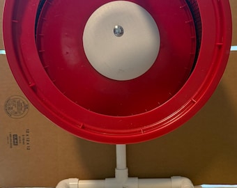 Custom Choice Cruiser, sugar glider exercise wheel