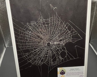 Genuine Spiderwebs