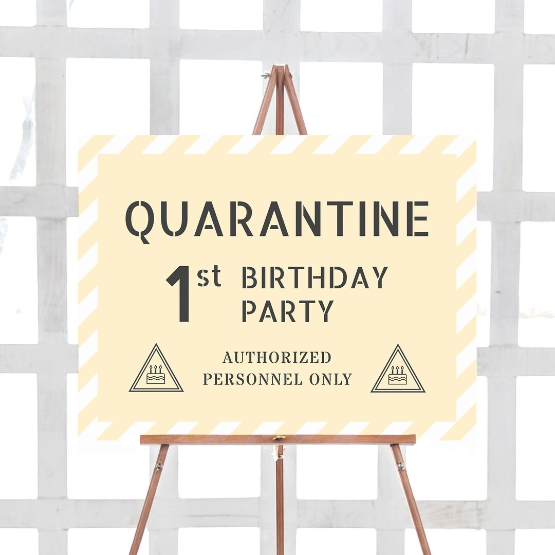 Quarantine Birthday Party Invite Template Printable Birthday - Etsy