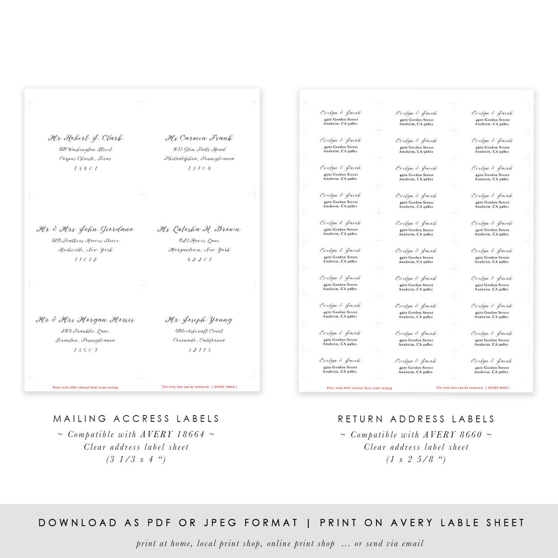 AVERY Address Label Template Avery18664 Clear Mailing Address Etsy