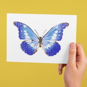 Postal Schillerfalter o tarjeta plegable