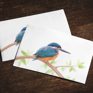 Posta Kingfisher o biglietto pieghevole