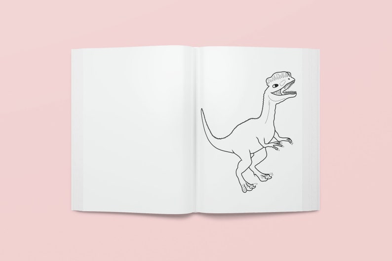 May include: A black and white line drawing of a dinosaur in a colouring book. The dinosaur has a long neck and a small head with a crest on top.