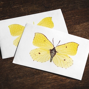 Poste papillon Brimstone ou carte pliante