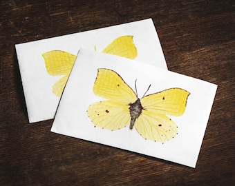 Brimstone butterfly post or folded card