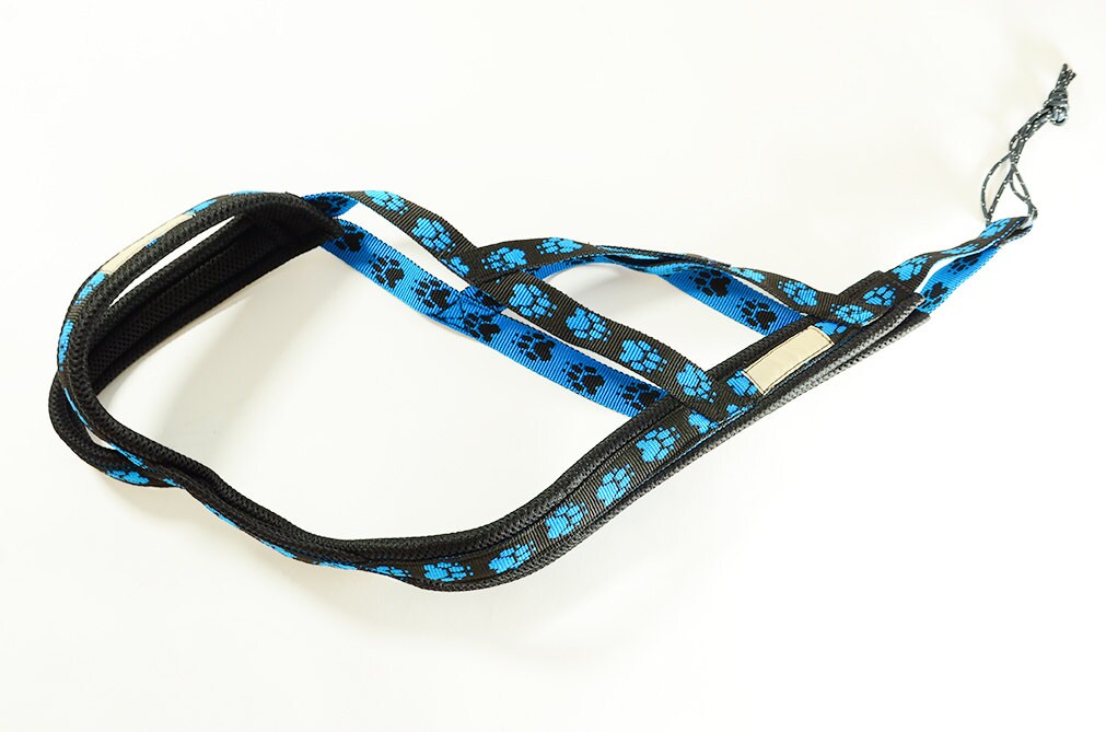 Xback dog harness bike and ski joring canicross sledding Etsy