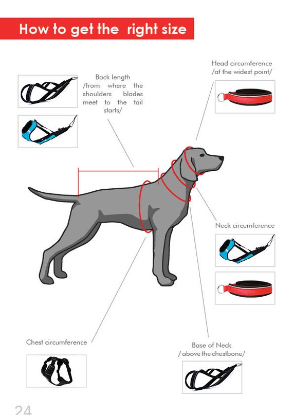 nobby dog harness size guide