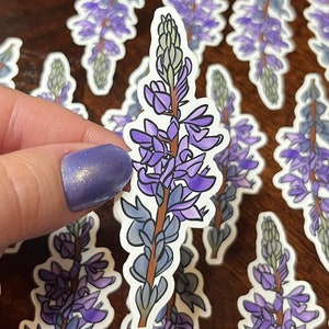 Dwarf Lupine sticker | purple flower | alpine wildflowers | Mount Rainier, WA | soft touch matte die cut sticker