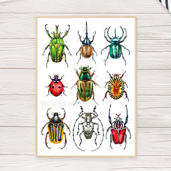 Watercolor Beetles Print, Coleoptera Poster, Beetles Wall Art, Insects Poster, Beetles Painting, Bugs Art, Bugs Print, Beetles Illustration