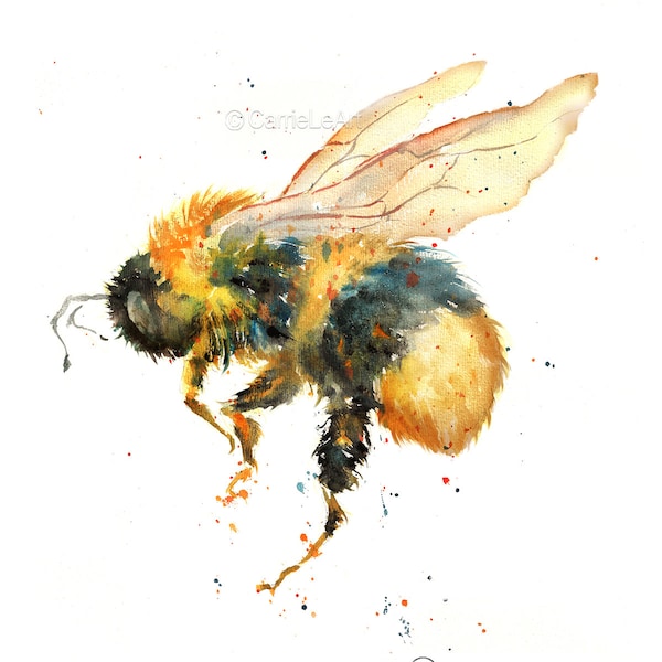 Bumble Bee print, Bee print, Insect print, Bee watercolor, Bee painting;Bumble Bee gifts;Bumble Bee watercolor;Bee wall art;Bumble Bee decor