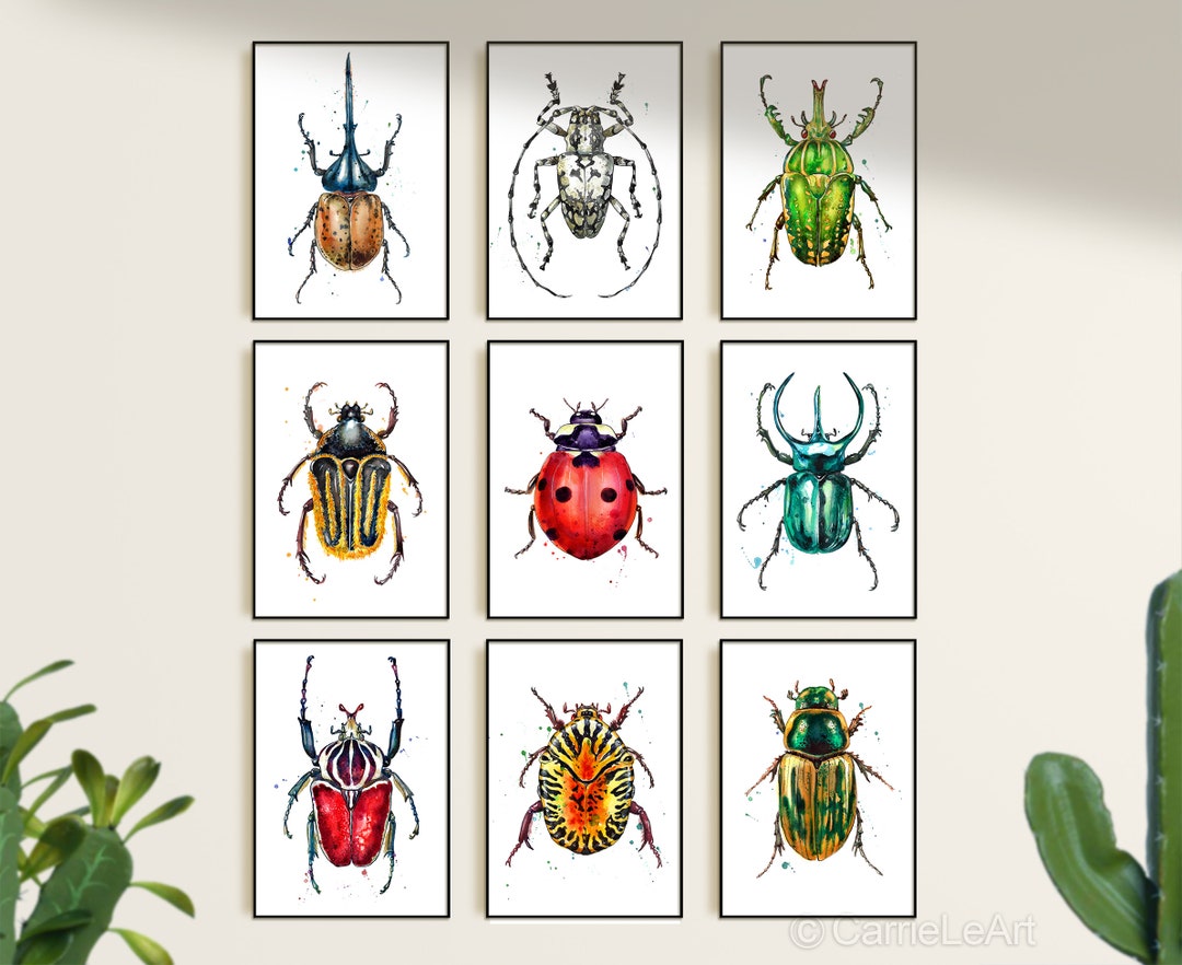 Custom Beetles Set of 9, Beetles Prints, Insects Wall Decor, Watercolor