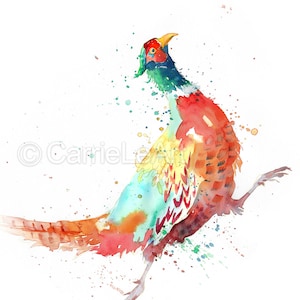 May include: Watercolor painting of a pheasant in motion, showcasing vibrant colors. The bird features a red, orange, yellow, and blue plumage with a green head and yellow beak. Splatter effects add to the artistic style.