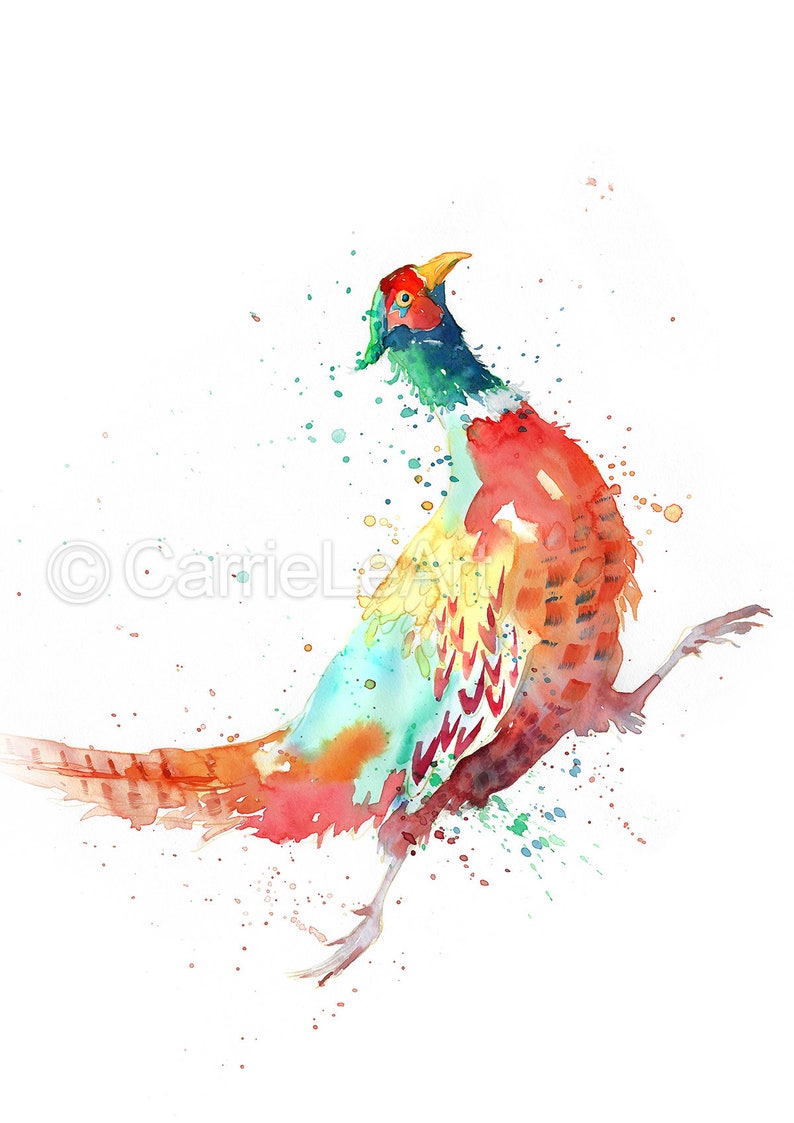 May include: Watercolor painting of a pheasant in motion, showcasing vibrant colors. The bird features a red, orange, yellow, and blue plumage with a green head and yellow beak. Splatter effects add to the artistic style.