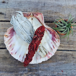 Dragon&#39;s Blood Sage Smudge Stick, Dragon&#39;s Blood Incense, Dipped Sage, Space Cleansing,  Clearing, Clear Negative Energy, Crystal Cleansing