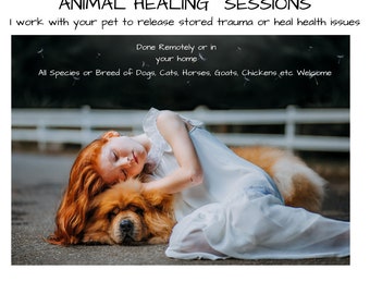 Remote Animal Energetic Healing, Remote Energy Healings for Pets, Energetic Healings for Pets, Animal Communicator,Animal Medium