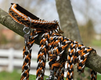 3-point paracord leash for dogs - Rope leash - Paracord leash - climbing rope - Dog leash
