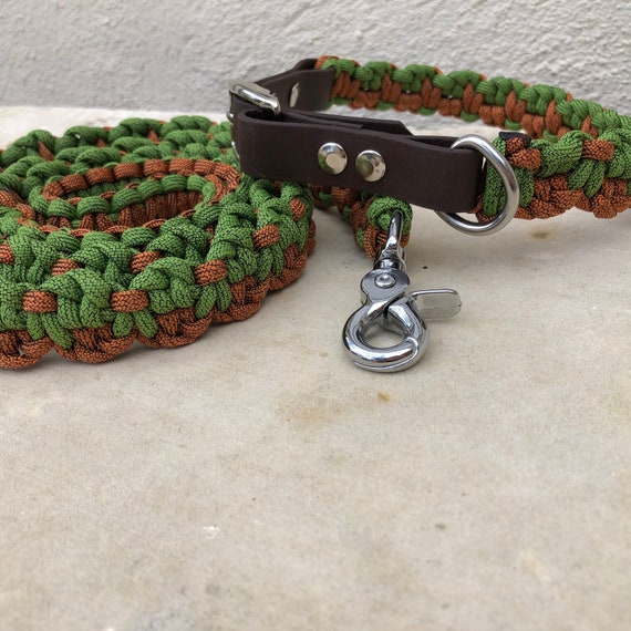 paracord dog collar & leash