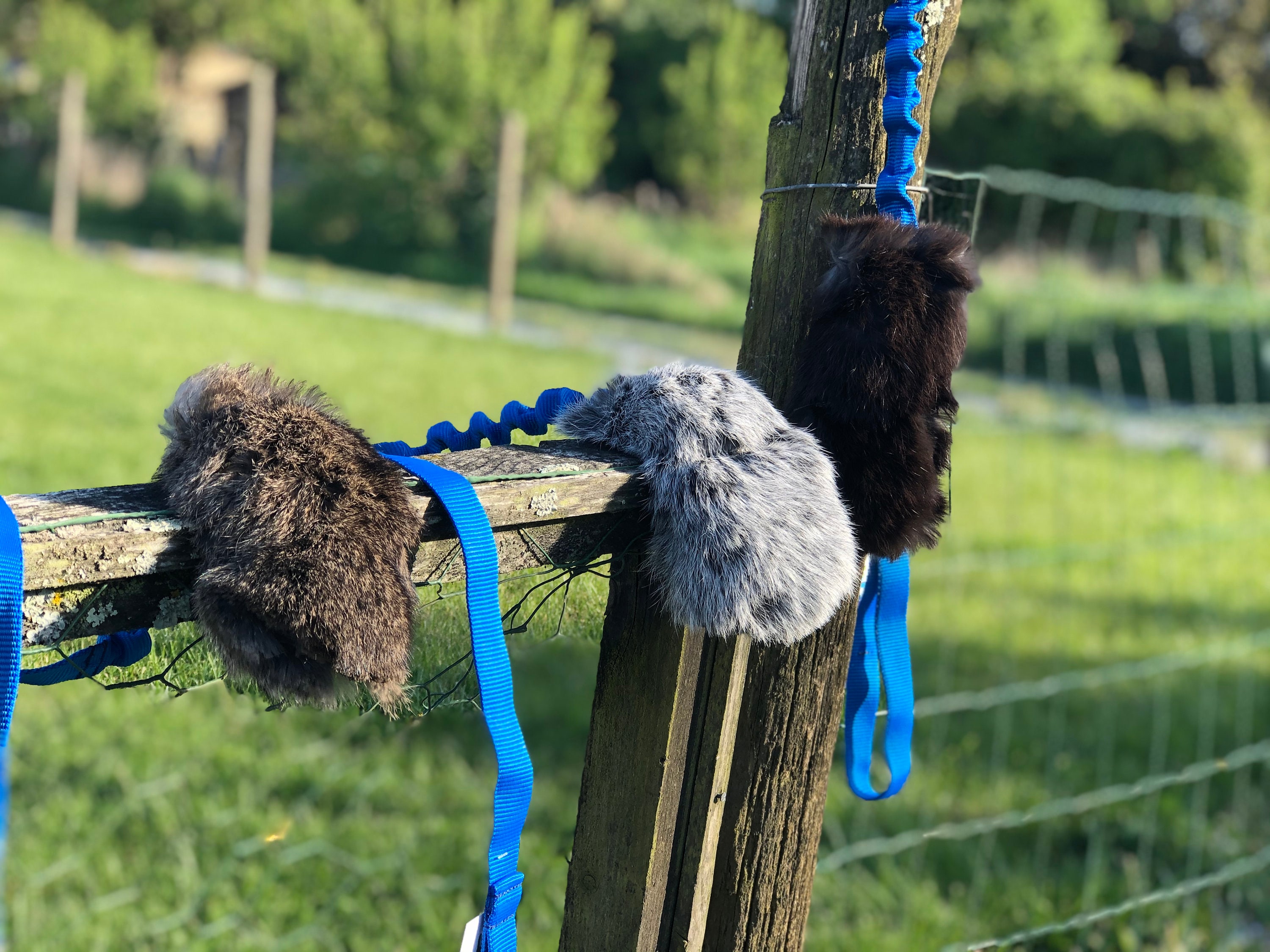 Tug Floramicato Fluffy Fuzzy Long - Jouet Pour Chien et Chiot