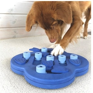 Cool free homemade dog puzzle!  Jeu chien, Jouet chien, Jeux d intelligence